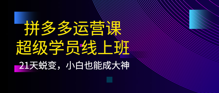 拼多多运营课：超级学员线上班，21天蜕变，小白也能成大神汇创网-网创项目_汇创网_中创网_福缘网_冒泡网_资源整合平台汇创网