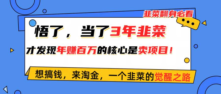 悟了，当了3年韭菜，才发现网赚圈年赚100万的核心是卖项目，含泪分享！汇创网-网创项目_汇创网_中创网_福缘网_冒泡网_网创项目平台汇创网