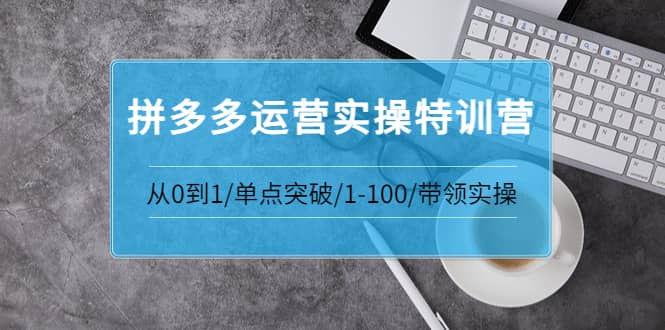 拼多多运营实操特训营：从0到1/单点突破/1-100/带领实操 价值2980元汇创网-网创项目_汇创网_中创网_福缘网_冒泡网_资源整合平台汇创网