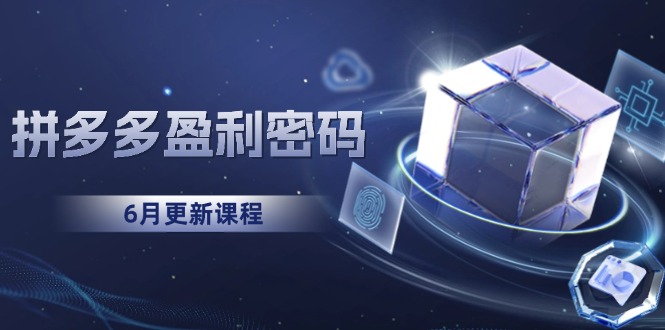 （15005期）拼多多盈利密码：从烧钱推广到印钞模型，底层逻辑重构指南（6月更新）汇创网-网创项目_汇创网_中创网_福缘网_冒泡网_网创项目平台汇创网