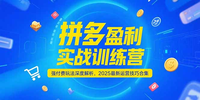 （15183期）拼多多盈利实战训练营，强付费玩法深度解析，2025运营技巧合集-更新6月汇创网-网创项目_汇创网_中创网_福缘网_冒泡网_资源整合平台汇创网