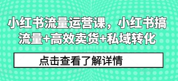 小红书流量运营课，小红书搞流量+高效卖货+私域转化汇创网-网创项目_汇创网_中创网_福缘网_冒泡网_资源整合平台汇创网