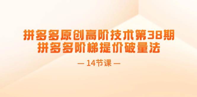拼多多原创高阶技术第38期，拼多多阶梯提价破量法（14节课）汇创网-网创项目_汇创网_中创网_福缘网_冒泡网_资源整合平台汇创网