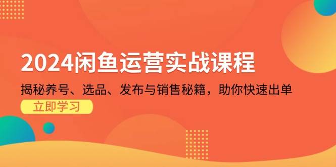 （13290期）2024闲鱼运营实战课程：揭秘养号、选品、发布与销售秘籍，助你快速出单汇创网-网创项目_汇创网_中创网_福缘网_冒泡网_资源整合平台汇创网