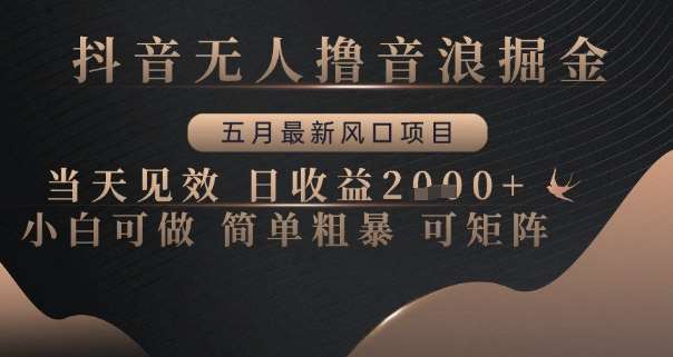 抖音无人撸音浪掘金，五月最新风口项目，当天见效，日收益多张，小白可做简单粗暴可矩阵【揭秘】汇创网-网创项目_汇创网_中创网_福缘网_冒泡网_资源整合平台汇创网