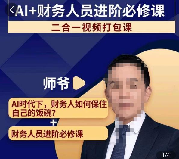 AI+财务人员进阶必修课二合一视频打包课，财务人员进阶必修课汇创网-网创项目_汇创网_中创网_福缘网_冒泡网_资源整合平台汇创网