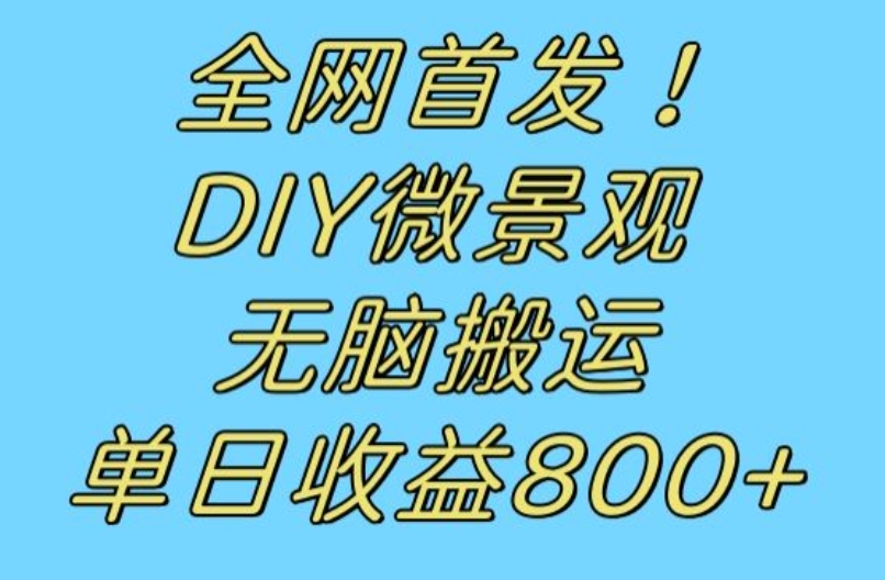 全网首发冷门赛道！DIY微景观，无脑搬运视频，日收益800+【揭秘】汇创网-网创项目_汇创网_中创网_福缘网_冒泡网_网创项目平台汇创网