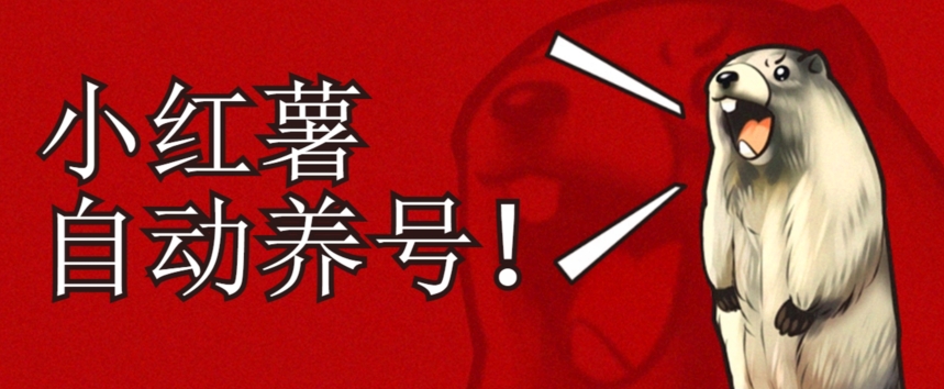 小红书养号秘籍，如何自动涨粉清晰系统标签打造高权重账号【揭秘】汇创网-网创项目_汇创网_中创网_福缘网_冒泡网_资源整合平台汇创网