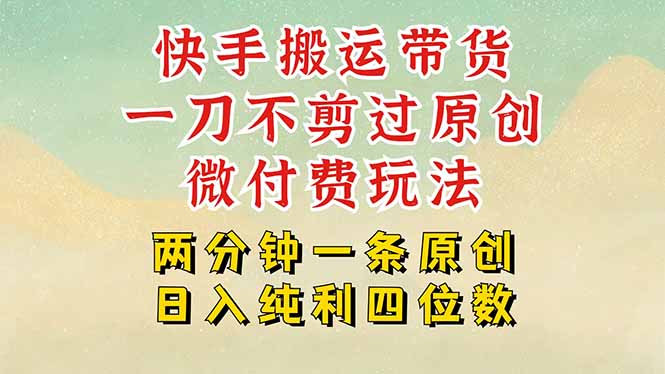 （15577期）快手黑科技搬运带货，一刀不剪过原创，微付费投流玩法，轻松日入四位数…网创项目_汇创网_中创网_福缘网_冒泡网_资源整合平台汇创网