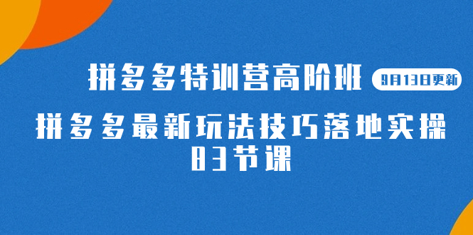 2023拼多多·特训营高阶班【9月13日更新】拼多多最新玩法技巧落地实操-83节汇创网-网创项目_汇创网_中创网_福缘网_冒泡网_资源整合平台汇创网