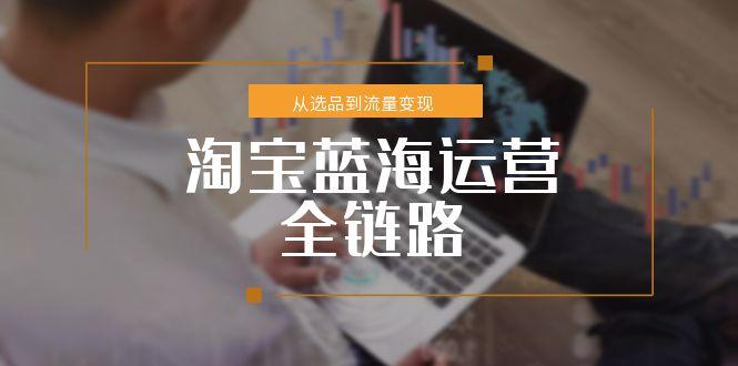 （15160期）淘宝蓝海运营全链路，从选品到流量变现，小类目突围完整方案汇创网-网创项目_汇创网_中创网_福缘网_冒泡网_资源整合平台汇创网