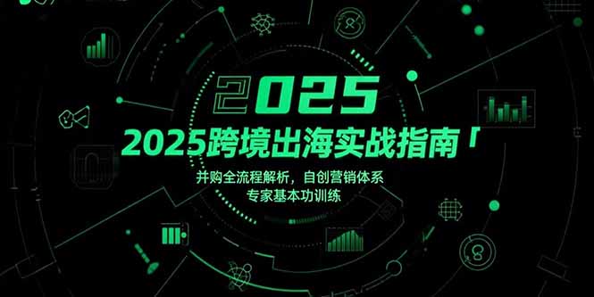 （15503期）2025跨境出海实战指南，并购全流程解析，自创营销体系，专家基本功训练汇创网-网创项目_汇创网_中创网_福缘网_冒泡网_资源整合平台汇创网
