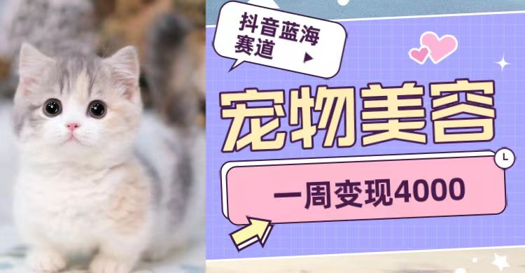 抖音蓝海赛道，宠物美容，一周变现4000汇创网-网创项目_汇创网_中创网_福缘网_冒泡网_资源整合平台汇创网