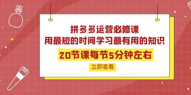 拼多多运营必修课：20节课每节5分钟左右，用最短的时间学习最有用的知识汇创网-网创项目_汇创网_中创网_福缘网_冒泡网_网创项目平台汇创网