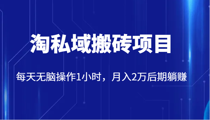 价值2980的淘私域搬砖项目，每天无脑操作1小时，月入2万后期躺赚网创项目_汇创网_中创网_福缘网_冒泡网_资源整合平台汇创网