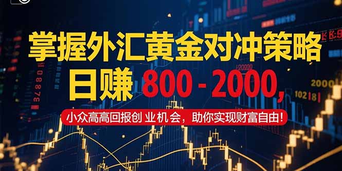 （15198期）掌握外汇黄金对冲策略，日赚 800 – 2000，小众高回报创业机会，助你实…汇创网-网创项目_汇创网_中创网_福缘网_冒泡网_资源整合平台汇创网