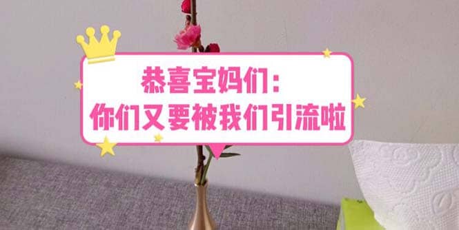 恭喜宝妈们：你们又要被我们引流了（教程+222g资料）汇创网-网创项目_汇创网_中创网_福缘网_冒泡网_网创项目平台汇创网