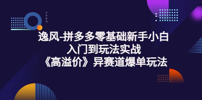 拼多多零基础新手小白入门到玩法实战《高溢价》异赛道爆单玩法实操课汇创网-网创项目_汇创网_中创网_福缘网_冒泡网_资源整合平台汇创网