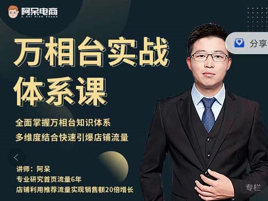 阿呆-万相台实战体系课，帮您全面掌握万相台知识体系汇创网-网创项目_汇创网_中创网_福缘网_冒泡网_资源整合平台汇创网