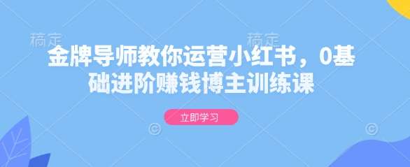 金牌导师教你运营小红书，0基础进阶赚钱博主训练课汇创网-网创项目_汇创网_中创网_福缘网_冒泡网_资源整合平台汇创网
