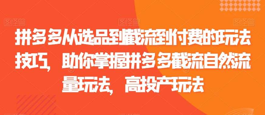拼多多从选品到截流到付费的玩法技巧，助你掌握拼多多截流自然流量玩法，高投产玩法汇创网-网创项目_汇创网_中创网_福缘网_冒泡网_资源整合平台汇创网