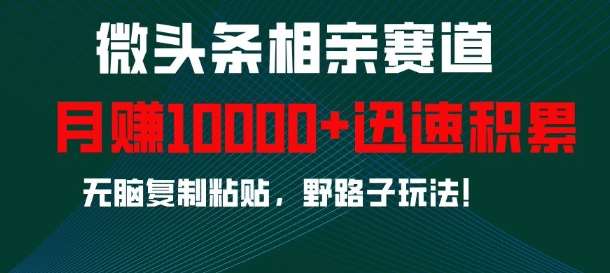 微头条相亲赛道，迅速积累，无脑复制粘贴，野路子玩法，月入1w汇创网-网创项目_汇创网_中创网_福缘网_冒泡网_网创项目平台汇创网