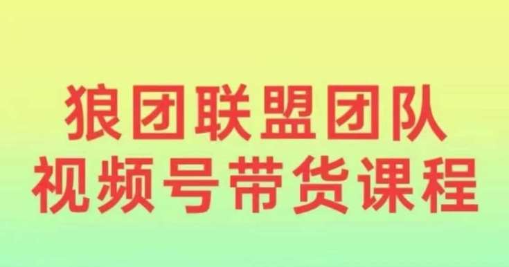 狼团联盟2024视频号带货，0基础小白快速入局视频号汇创网-网创项目_汇创网_中创网_福缘网_冒泡网_资源整合平台汇创网