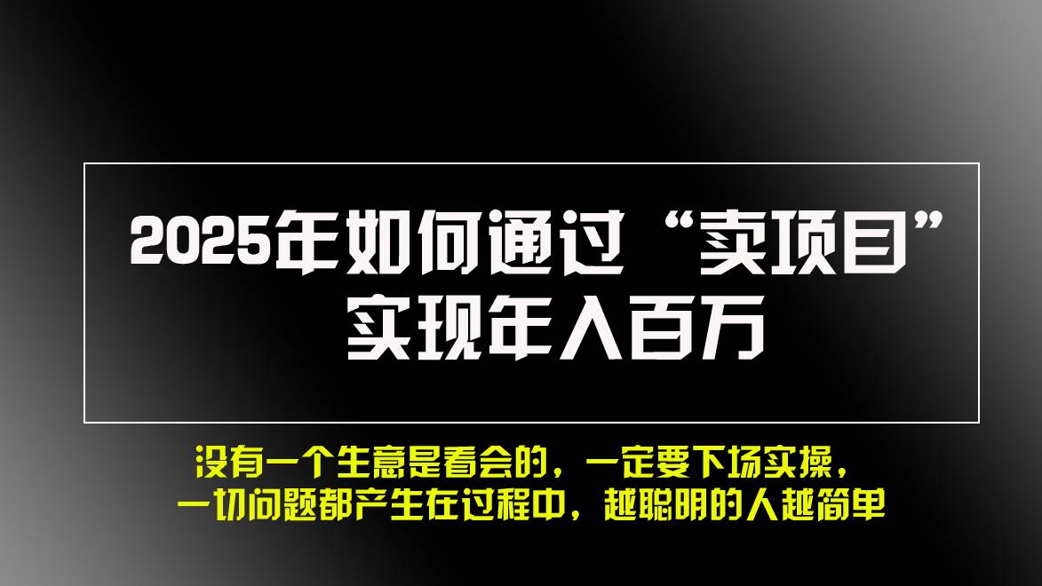 （13468期）2025年如何通过“卖项目”实现年入百万，做网赚必看！！汇创网-网创项目_汇创网_中创网_福缘网_冒泡网_资源整合平台汇创网