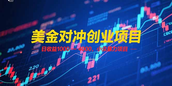 （15187期）美金对冲创业项目，日收益 1000 – 4000，小众暴力项目汇创网-网创项目_汇创网_中创网_福缘网_冒泡网_资源整合平台汇创网