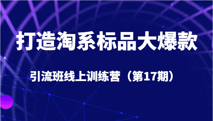 打造淘系标品大爆款引流班线上训练营5天直播授课+1个月答疑汇创网-网创项目_汇创网_中创网_福缘网_冒泡网_资源整合平台汇创网