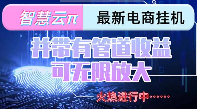 （15314期）智慧云π电脑挂机单机每天收益300—500+ 并带有团队管道收益 可无限放大汇创网-网创项目_汇创网_中创网_福缘网_冒泡网_资源整合平台汇创网