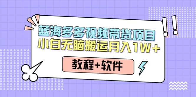 人人都能操作的蓝海多多视频带货项目 小白无脑搬运（教程+软件）汇创网-网创项目_汇创网_中创网_福缘网_冒泡网_资源整合平台汇创网