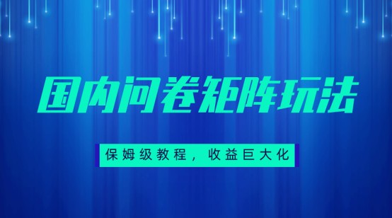 保姆级教程，国内问卷矩阵玩法，轻松赚收益汇创网-网创项目_汇创网_中创网_福缘网_冒泡网_资源整合平台汇创网