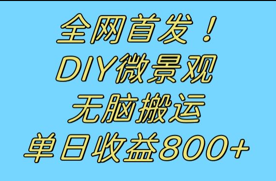 全网首发冷门赛道！DIY微景观，无脑搬运视频，日收益800+汇创网-网创项目_汇创网_中创网_福缘网_冒泡网_资源整合平台汇创网
