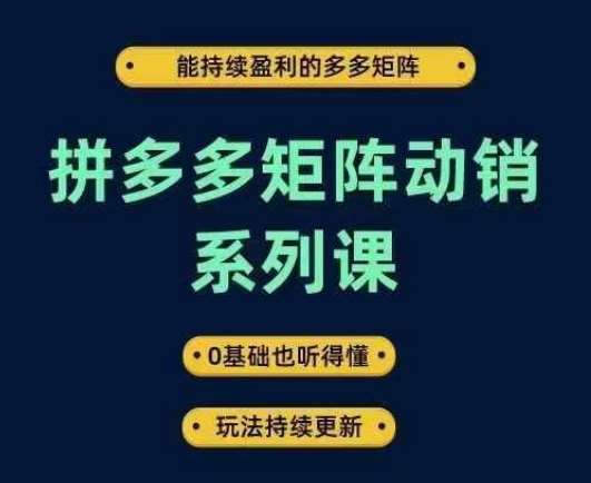 拼多多矩阵动销系列课，能持续盈利的多多矩阵，0基础也听得懂，玩法持续更新汇创网-网创项目_汇创网_中创网_福缘网_冒泡网_资源整合平台汇创网