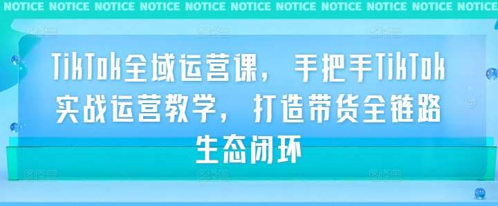 TikTok全域运营课，手把手TikTok实战运营教学，打造带货全链路生态闭环汇创网-网创项目_汇创网_中创网_福缘网_冒泡网_资源整合平台汇创网