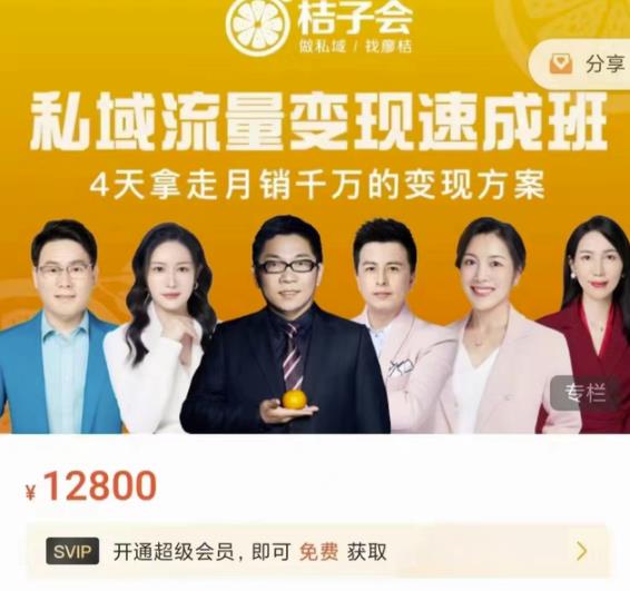 桔子会·私域流量变现速成班，4天拿走月销千万的变现方案 价值12800元汇创网-网创项目_汇创网_中创网_福缘网_冒泡网_资源整合平台汇创网