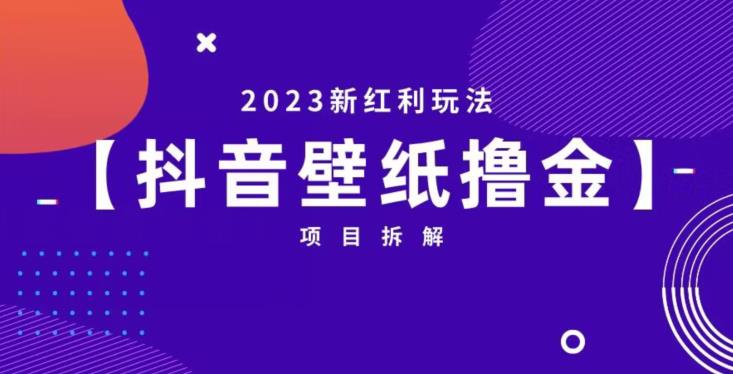 抖音壁纸小程序创作者撸金项目,2023新红利玩法【项目拆解】汇创网-网创项目_汇创网_中创网_福缘网_冒泡网_网创项目平台汇创网