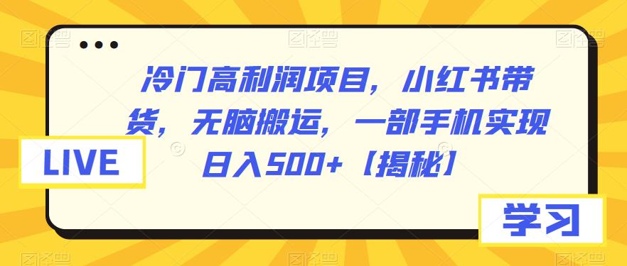 冷门高利润项目，小红书带货，无脑搬运，一部手机实现日入500+【揭秘】汇创网-网创项目_汇创网_中创网_福缘网_冒泡网_资源整合平台汇创网