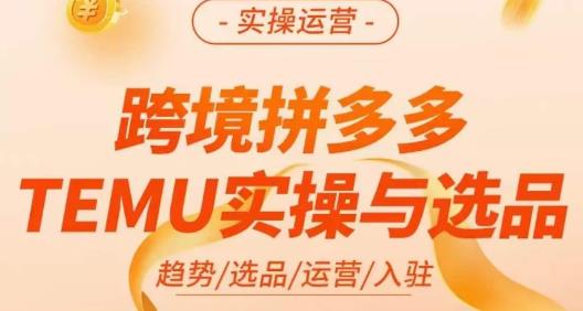 伍跃·跨境拼多多TEMU实操与选品，​趋势/选品/运营/入住（27节完整）汇创网-网创项目_汇创网_中创网_福缘网_冒泡网_网创项目平台汇创网