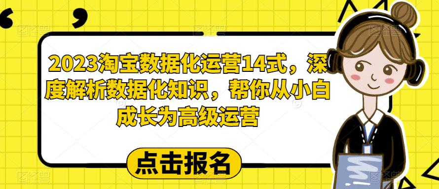 2023淘宝数据化运营14式，深度解析数据化知识，帮你从小白成长为高级运营网创项目_汇创网_中创网_福缘网_冒泡网_资源整合平台汇创网