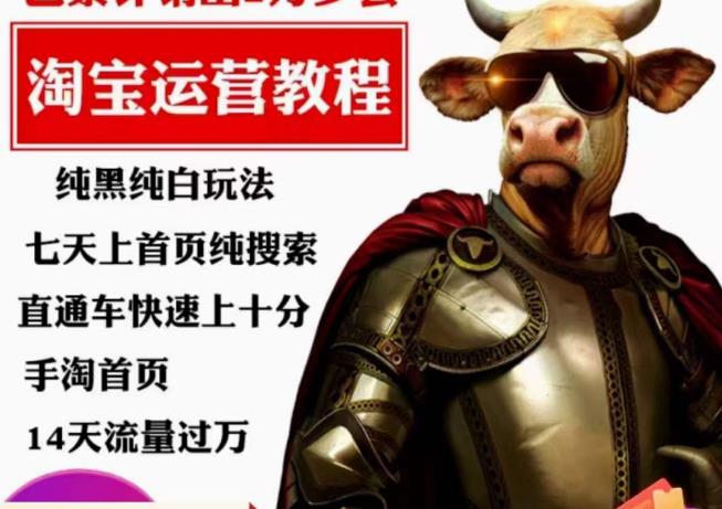 猫老师·淘系算法逆向解密，​纯黑纯白玩法，七天上首页纯搜索，手淘首页14天流量过万汇创网-网创项目_汇创网_中创网_福缘网_冒泡网_资源整合平台汇创网