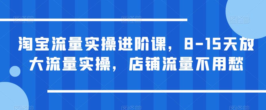 淘宝流量实操进阶课，8-15天放大流量实操，店铺流量不用愁汇创网-网创项目_汇创网_中创网_福缘网_冒泡网_网创项目平台汇创网