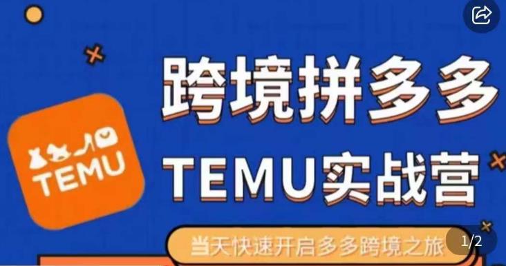 大鹏出海·拼多多跨境temu运营指导，开店注册+选品+核价上架，日出千单实战课汇创网-网创项目_汇创网_中创网_福缘网_冒泡网_资源整合平台汇创网