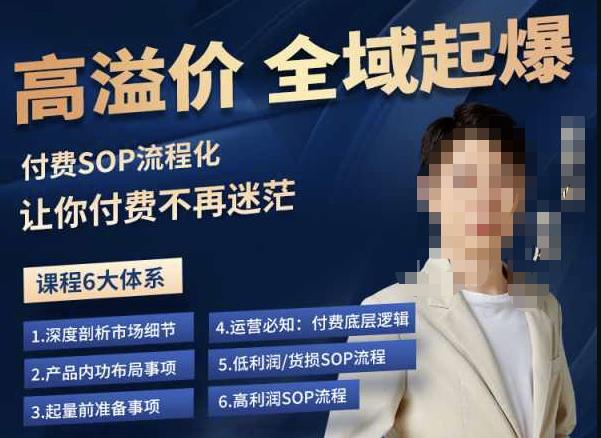 逸风-拼多多高溢价全域起爆，6大课程体系，付费玩法全套实操汇创网-网创项目_汇创网_中创网_福缘网_冒泡网_网创项目平台汇创网