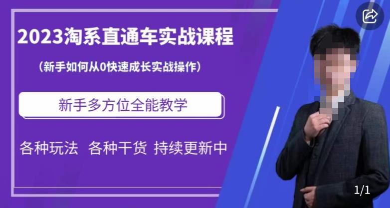 2023淘系直通车保姆式运营讲解，新手如何从0快速成长实战操作，新手多方位全能教学汇创网-网创项目_汇创网_中创网_福缘网_冒泡网_资源整合平台汇创网