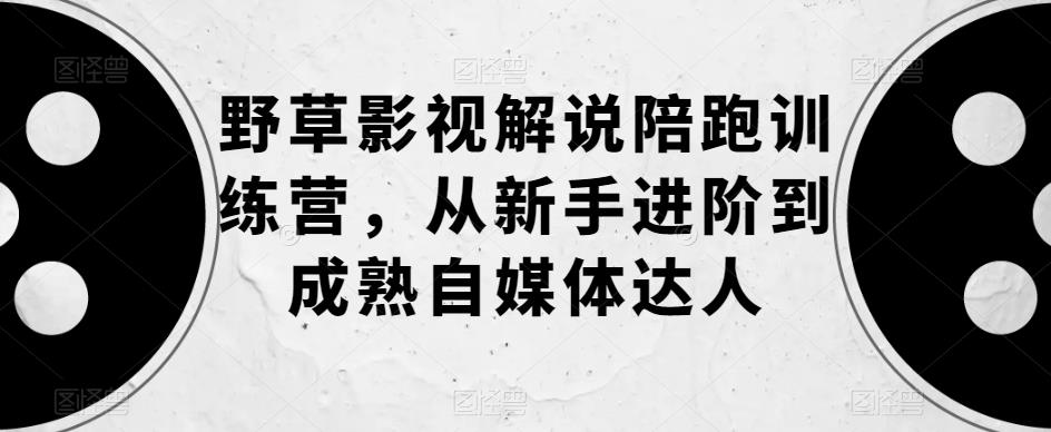 野草影视解说陪跑训练营，从新手进阶到成熟自媒体达人汇创网-网创项目_汇创网_中创网_福缘网_冒泡网_资源整合平台汇创网
