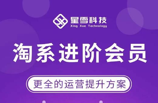 星雪·淘系进阶课程，快速提升突破技能流量瓶颈必备（更新2023年5月）汇创网-网创项目_汇创网_中创网_福缘网_冒泡网_资源整合平台汇创网