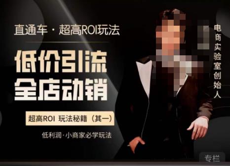 电商冰可乐·直通车·《低价引流·全店动销》，直通车·超高ROI玩法（其一）全店动销必学玩法汇创网-网创项目_汇创网_中创网_福缘网_冒泡网_资源整合平台汇创网