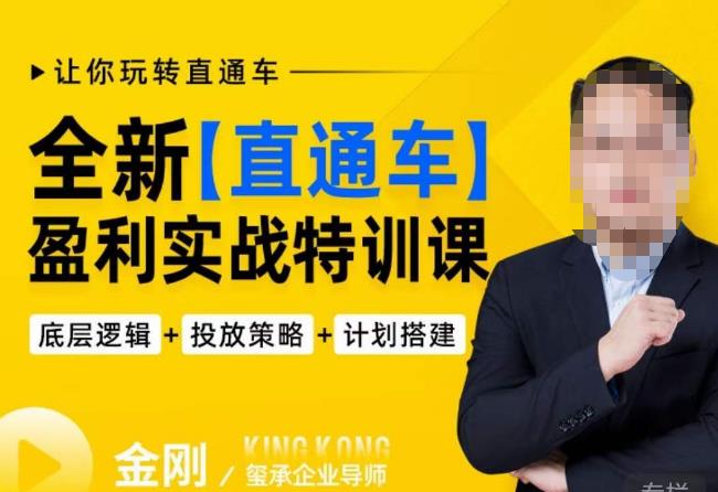 玺承·全新直通车盈利实战特训课，从​底层逻辑详细拆解，从底层，策略到搭建，让你玩转直通车汇创网-网创项目_汇创网_中创网_福缘网_冒泡网_资源整合平台汇创网